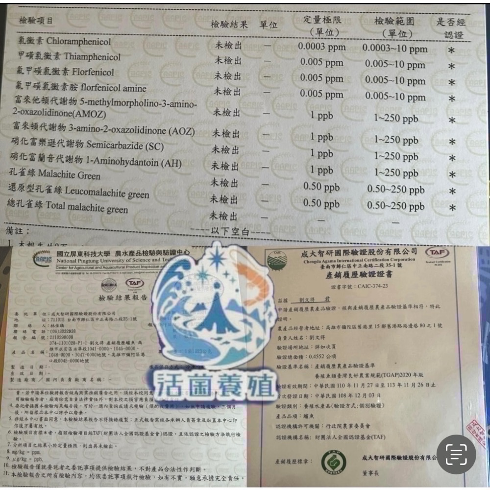 南洋魚販售所 · 活菌養殖 鹹水 帶皮 台灣鯛魚片 魚排 / 台灣鯛 / 鯛魚排 / 無土味 / 吳郭魚 魚片-細節圖6