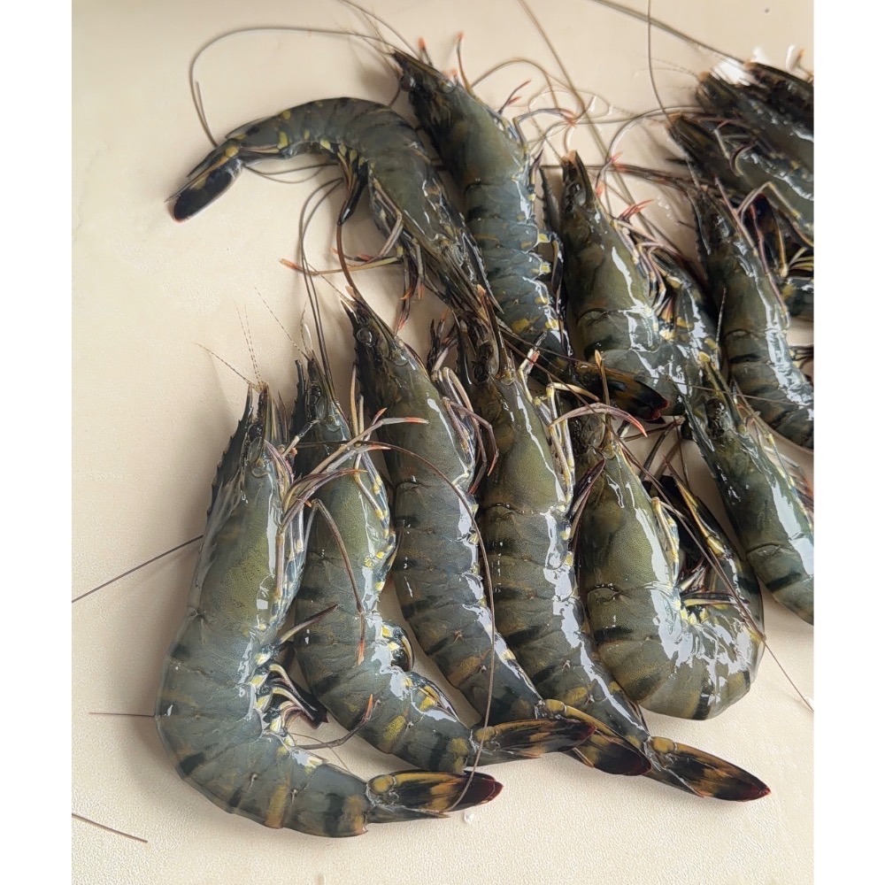 南洋魚販售所·活菌養殖 - 2026 海陸月宴 中秋烤肉 組-細節圖10