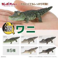 【現貨】萬代生物大圖鑑Repti鱷魚 全5種