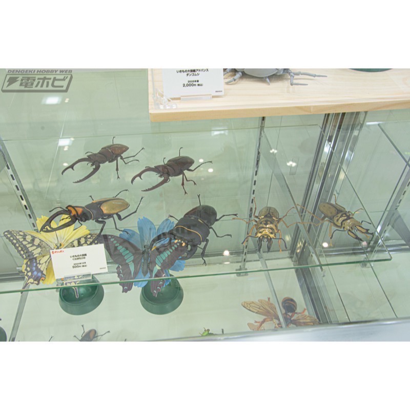 【現貨】萬代生物大圖鑑 鍬形蟲P9 全六種-細節圖2