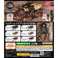 【現貨】萬代生物大圖鑑 鍬形蟲P9 全六種
