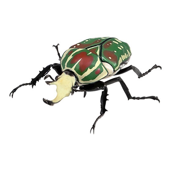 【現貨】萬代生物大圖鑑 獨角仙P8 全五種-規格圖6