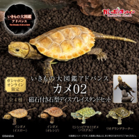 【現貨】萬代生物大圖鑑烏龜P2