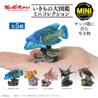 【現貨】萬代生物大圖鑑mini 珊瑚礁生物 全五種