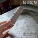 【藍色鼠尾草】 招財 脈輪 水晶 鼠尾草淨化 鼠尾草 水晶淨化 冥想 補財庫 能量 消磁水晶 【光之淨化】-規格圖4