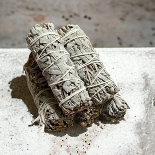 【白色鼠尾草強力淨化】 快速出貨 塔羅牌 淨化 能量 直覺 鼠尾草淨化 水晶 磁場 消極的情緒 【光之淨化】-細節圖2