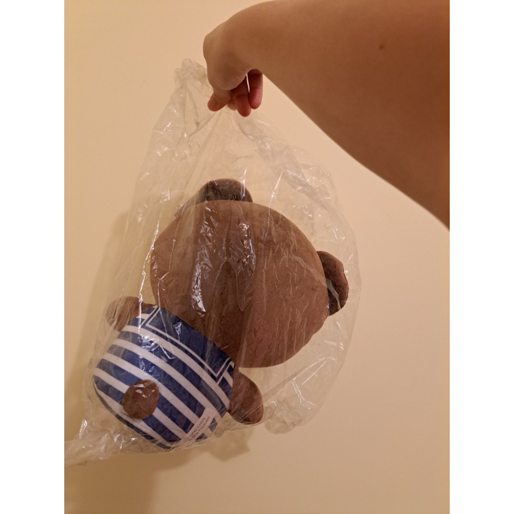 小熊娃娃 玩偶-細節圖2