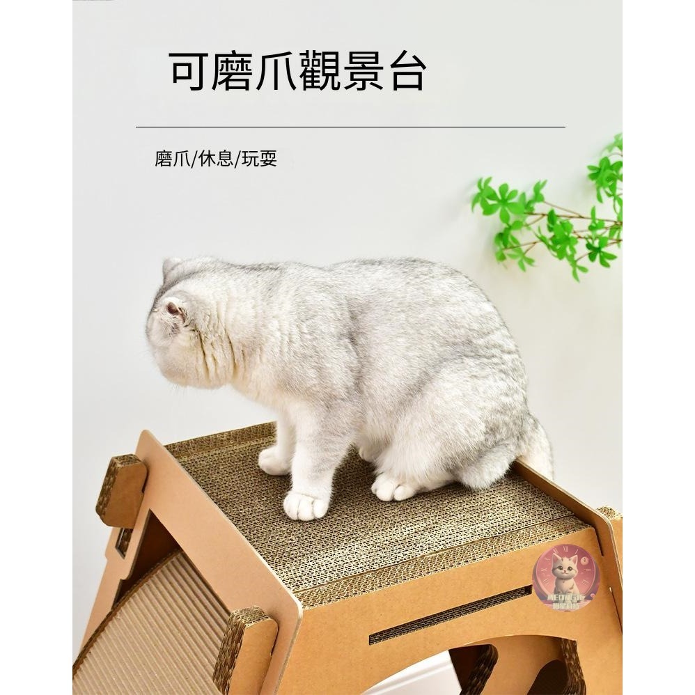 【meowgic喵星科技】水車寵物跑步機 貓抓板跑步機  貓滾輪 貓咪滾輪 寵物健身 滾輪 貓咪運動 寵物玩具 貓爬架-細節圖4