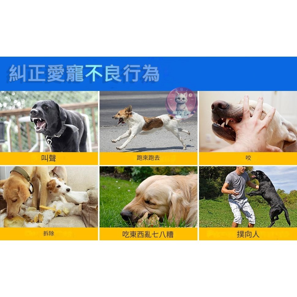 【meowgic喵星科技】水車寵物跑步機 貓抓板跑步機  貓滾輪 貓咪滾輪 寵物健身 滾輪 貓咪運動 寵物玩具 貓爬架-細節圖8