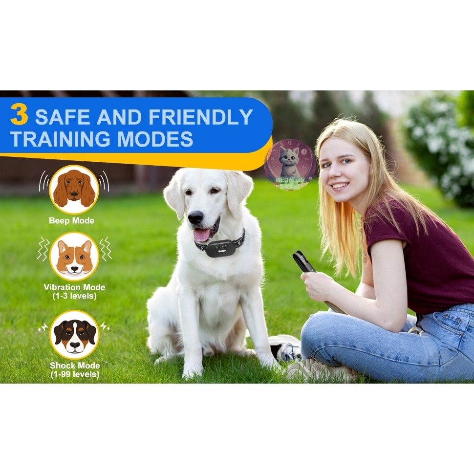 【meowgic喵星科技】水車寵物跑步機 貓抓板跑步機  貓滾輪 貓咪滾輪 寵物健身 滾輪 貓咪運動 寵物玩具 貓爬架-細節圖9