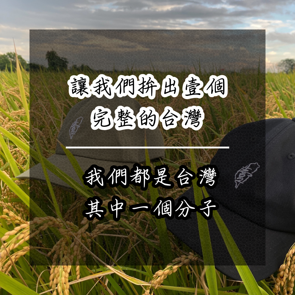 🧢台灣分子之帽🧢#臺中製造 #100%棉 復古老帽 台味帽 鴨舌帽 棒球帽 經典老帽-細節圖4