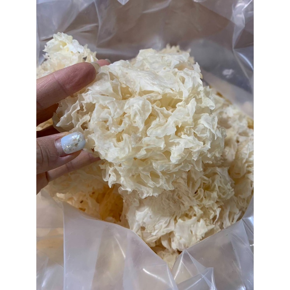 乾燥銀耳(白木耳)-細節圖5