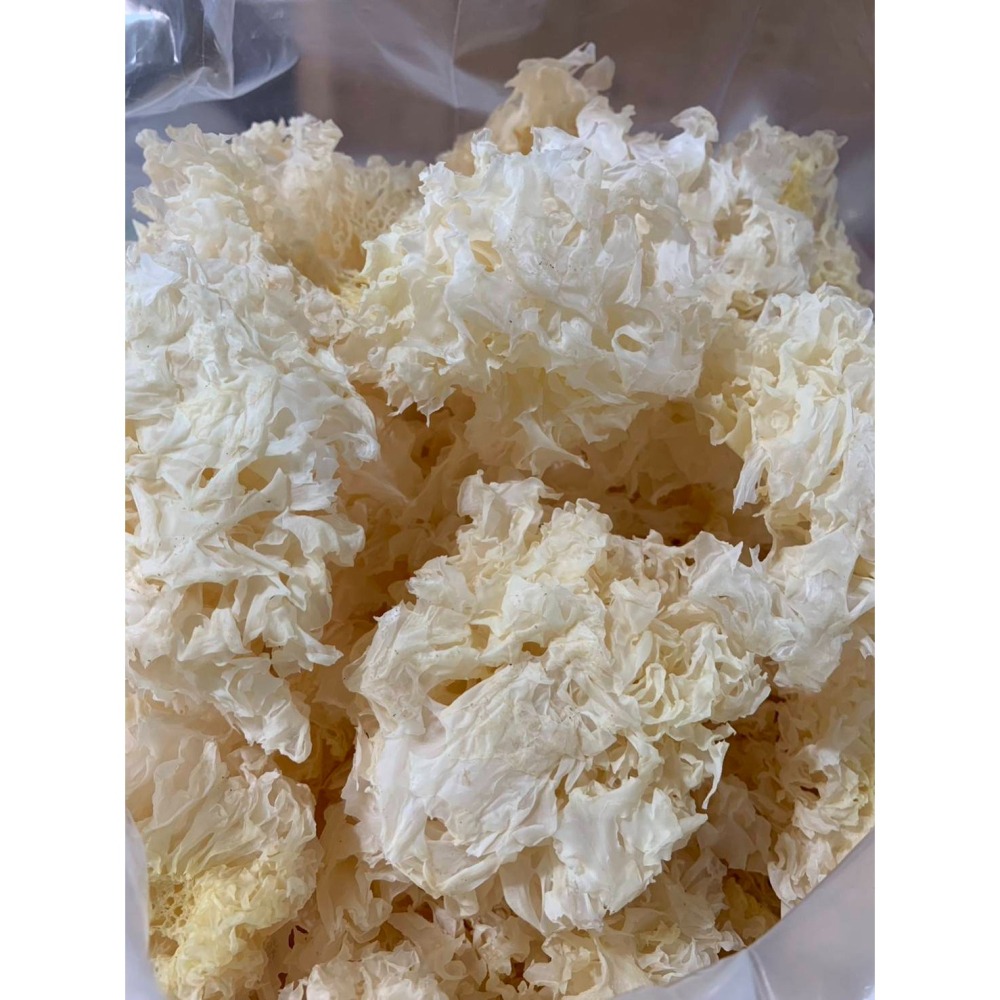 乾燥銀耳(白木耳)-細節圖7