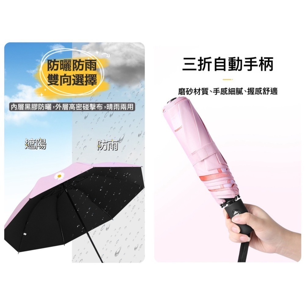 雨傘 陽傘 夏日水果晴雨兩用傘 自動傘  傘 遮陽傘  摺疊傘-細節圖2