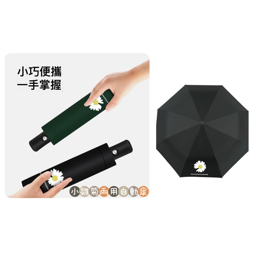 雨傘 陽傘 小雛菊晴雨兩用自動傘  傘 遮陽傘  摺疊傘-細節圖3