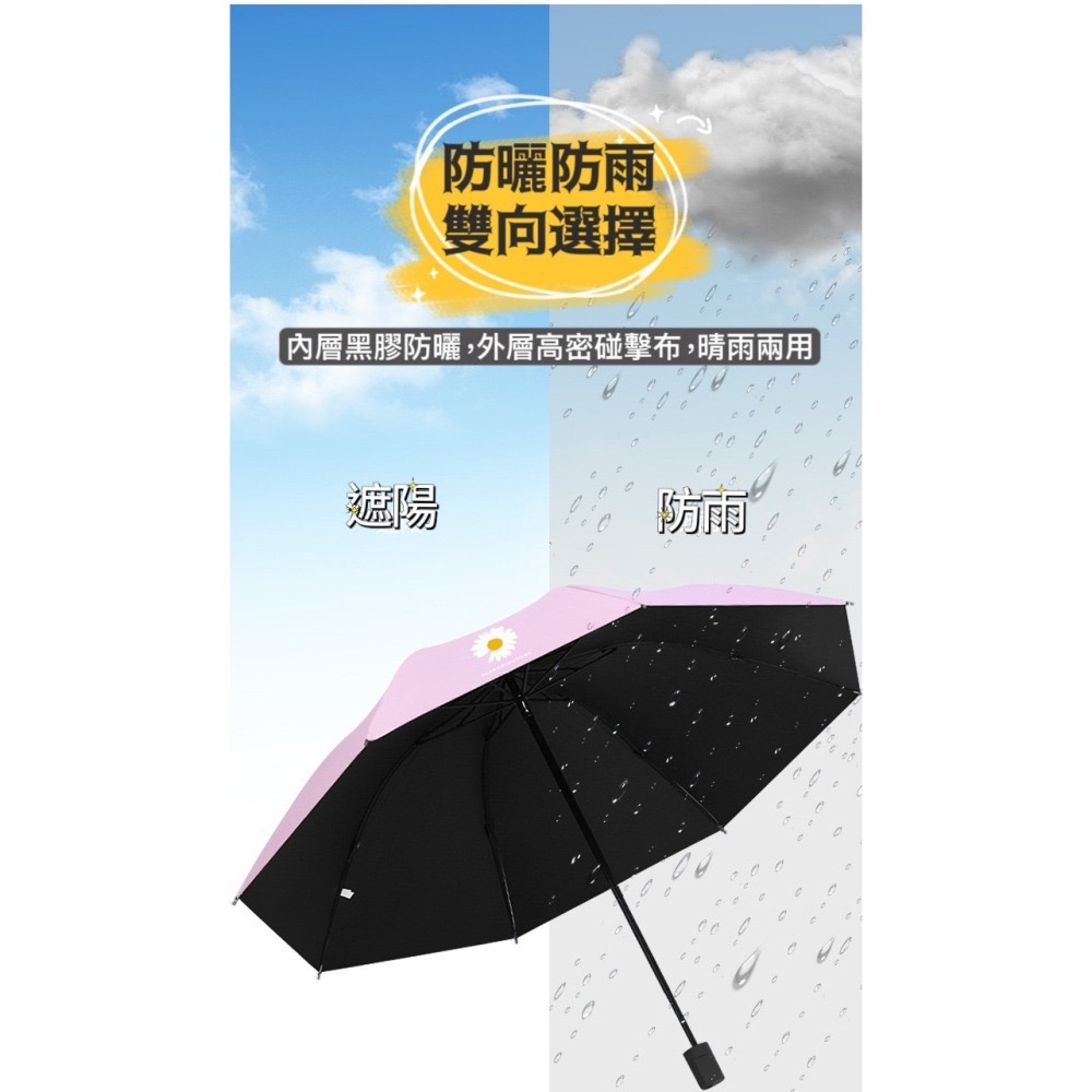 雨傘 陽傘 小雛菊晴雨兩用自動傘  傘 遮陽傘  摺疊傘-細節圖4