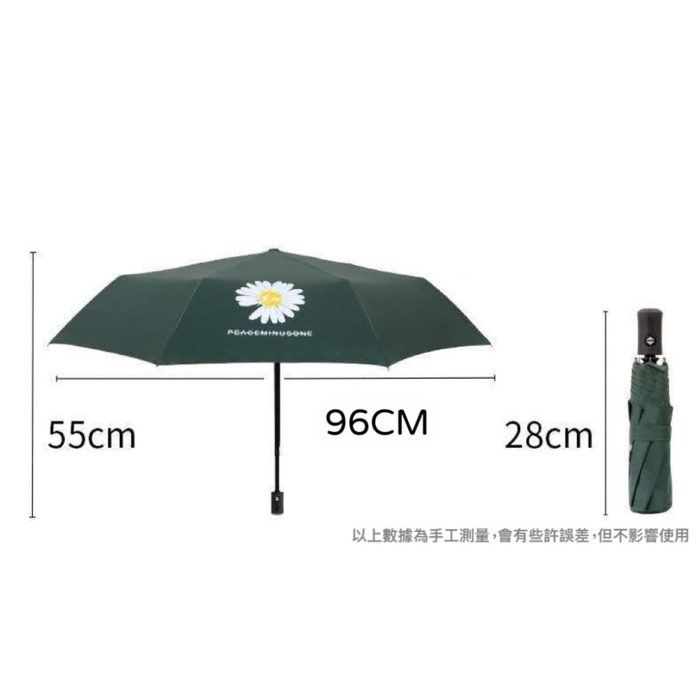 雨傘 陽傘 小雛菊晴雨兩用自動傘  傘 遮陽傘  摺疊傘-細節圖8