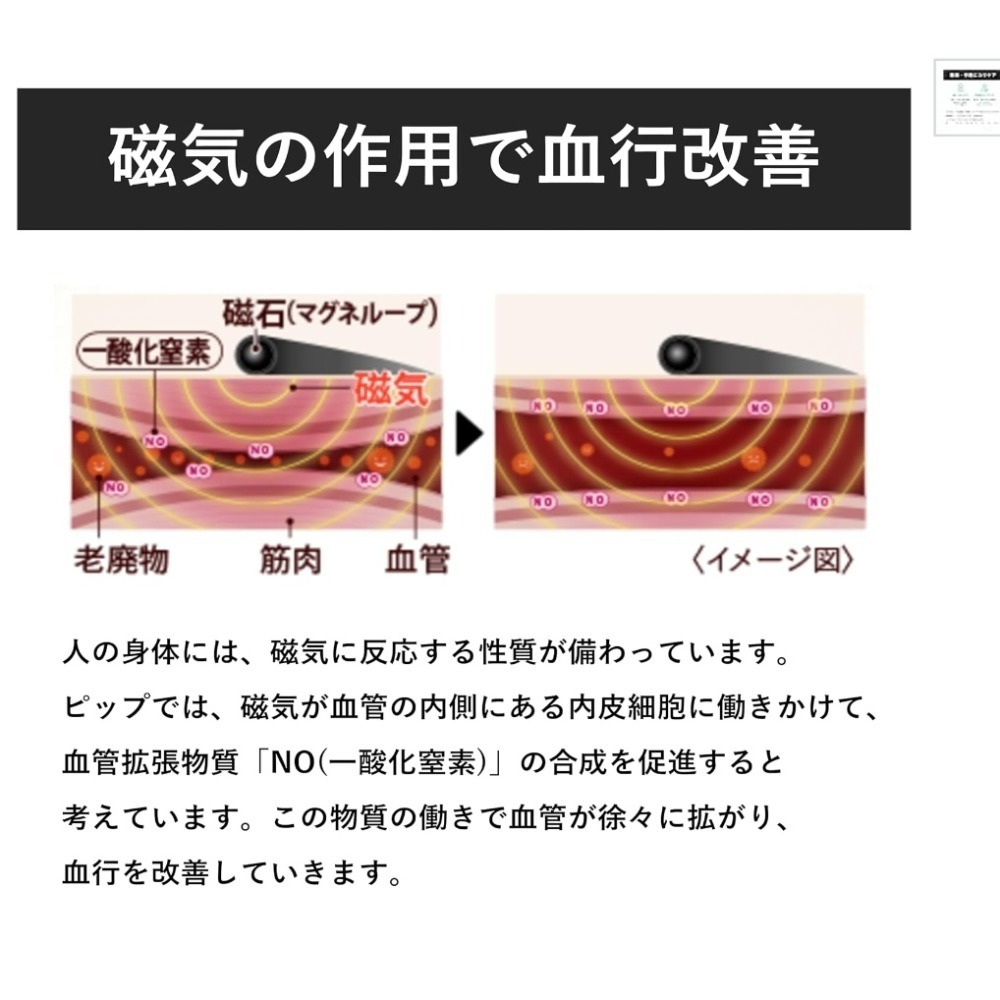 最強系列 50公分 日本製日本易利氣 eleki 易利氣 EX 磁力項圈50cm 加強 永久磁石 日本帶回-細節圖3