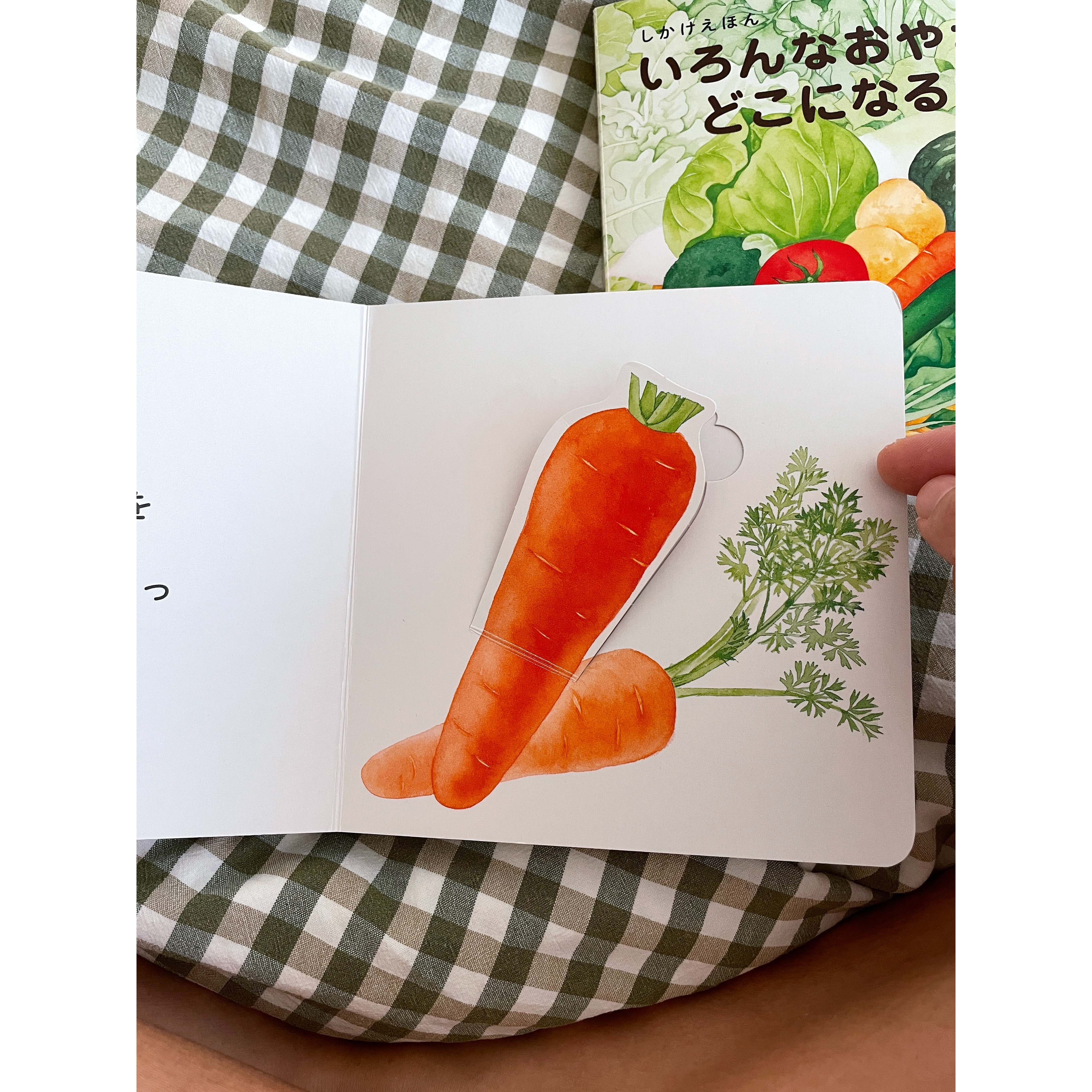 請吃蔬菜/おやさいどうぞ-細節圖2