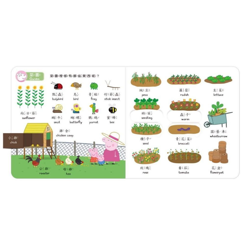 ［BB&C]🌟 華碩文化 粉紅豬小妹 學習數字 英文 生活常識粉紅豬小妹雙語認知學習點讀套組 (此款不含點讀筆)-細節圖7