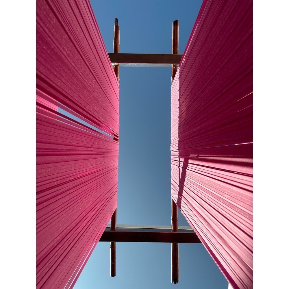 友善石虎火龍果日曬麵-細節圖2