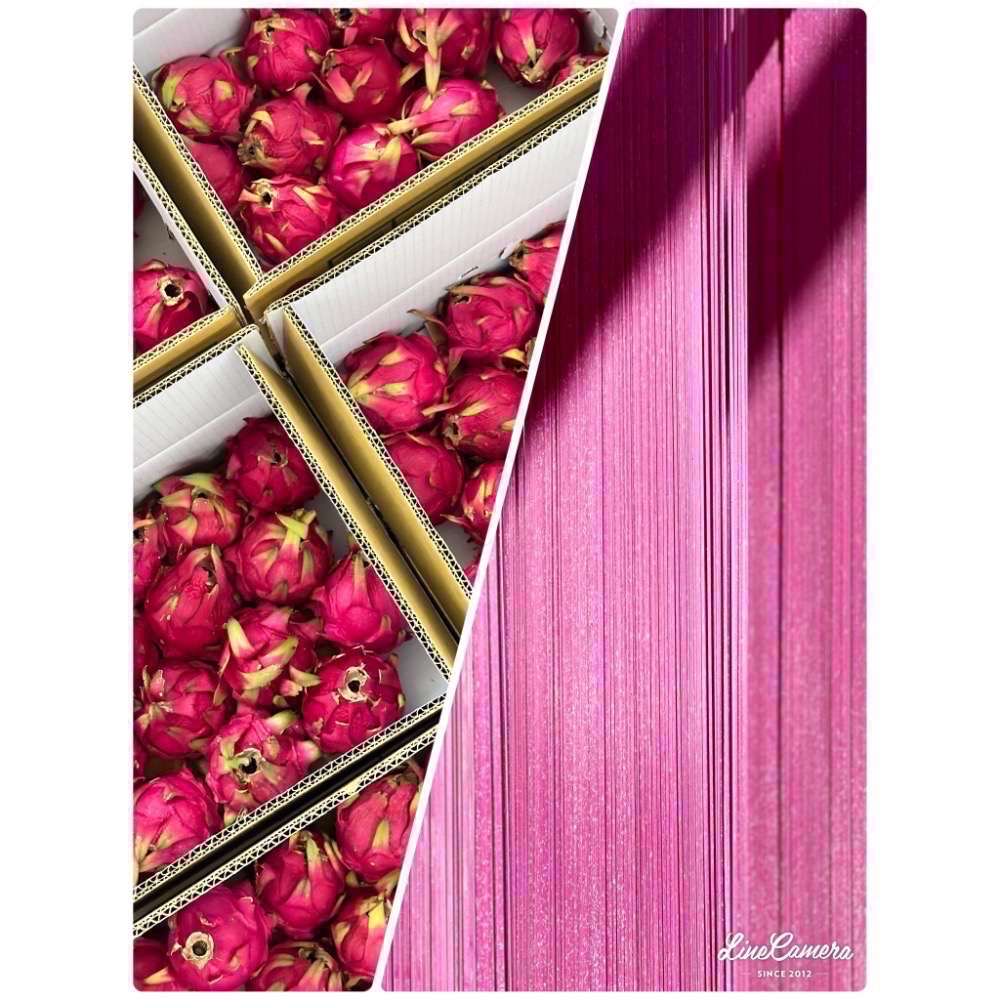 友善石虎日曬麵禮盒-細節圖8