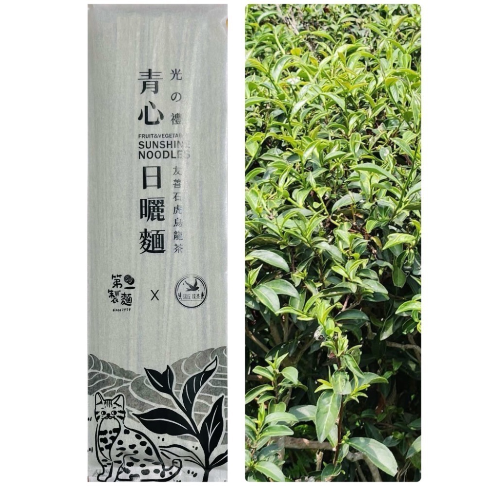 友善石虎青心烏龍茶日曬麵-細節圖2