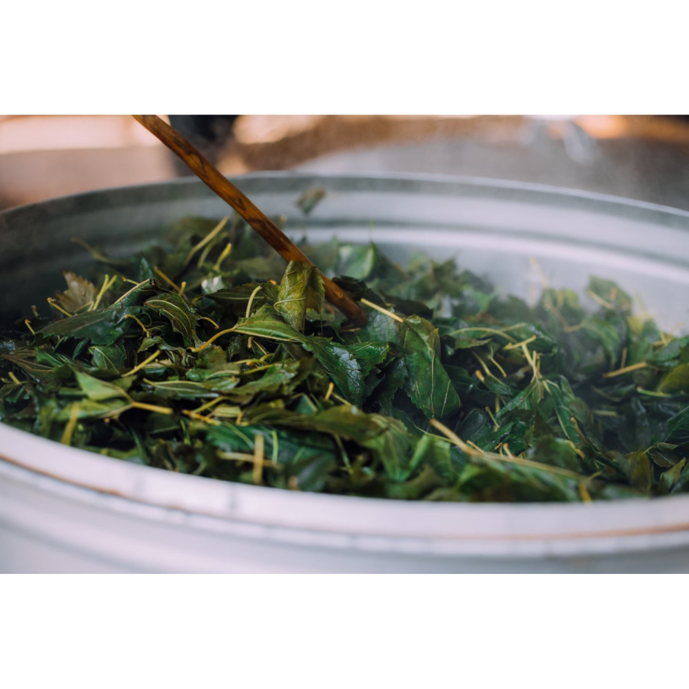 桑葉茶 罐裝茶 葉無咖啡因 ｜調整體質｜幫助睡眠｜適合三高-細節圖3