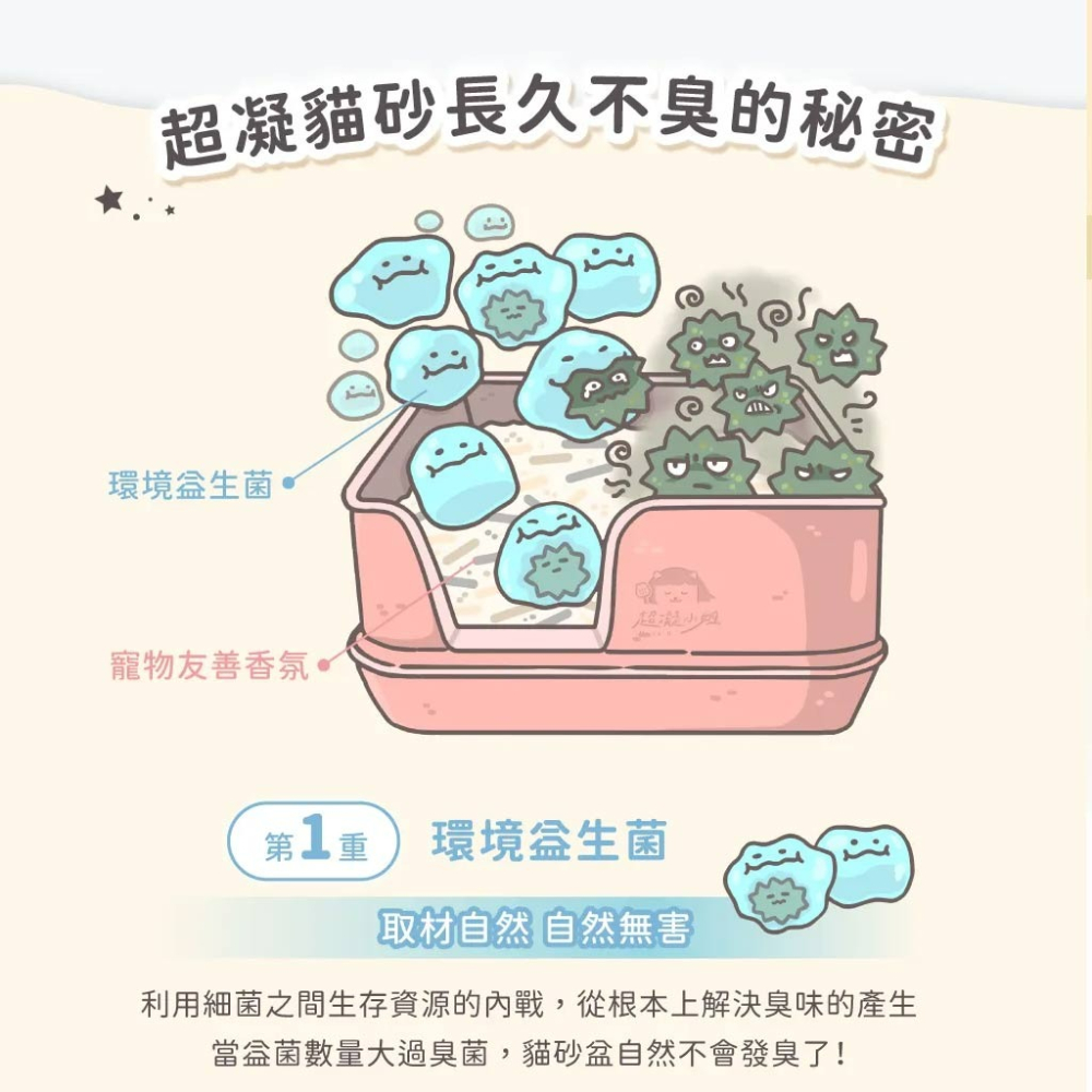 【貓狗食堂】超凝小姐-益生菌除臭豆腐砂米粒型(7L)｜仿礦砂小顆粒｜貓砂 豆腐砂 破碎砂 米粒砂 益生菌貓沙 除臭貓砂-細節圖4