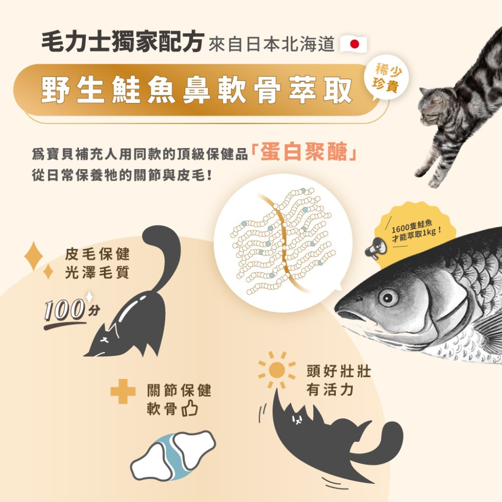 【貓狗食堂】毛力士-咪其林摘星系列 貓咪主食餐包(6款任選)｜主食罐｜犬貓罐頭 犬貓食品 犬貓主食罐 軟罐頭 鮮食餐包-細節圖4