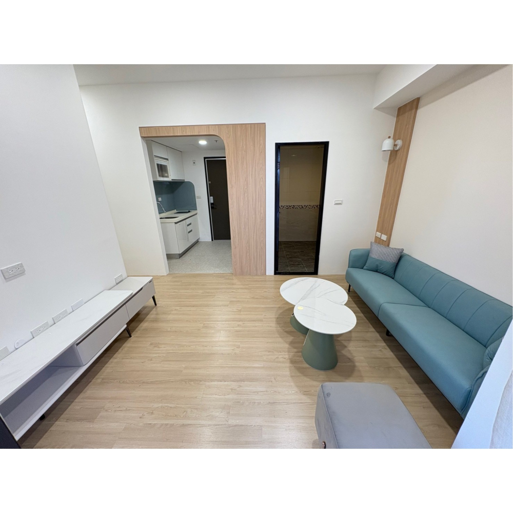 🌟 桃鶯商圈高樓層全新裝潢1+1房，單身貴族與小家庭的理想選擇！🌟-細節圖4