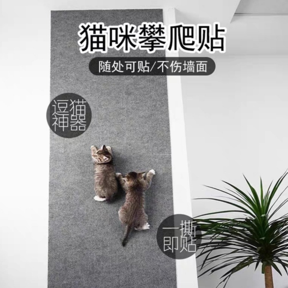 現貨 加厚貼墻貓抓板 貼墻貓爬架 貓爬墊 逗貓神器 貓抓板 耐磨 耐抓 隨意剪貼 多功能墻貼 貓咪攀爬-細節圖3