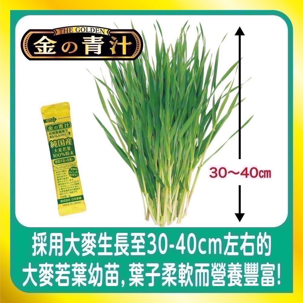 The Golden 大麥若葉粉末 3公克X176包-吉兒好市多COSTCO代購-細節圖3