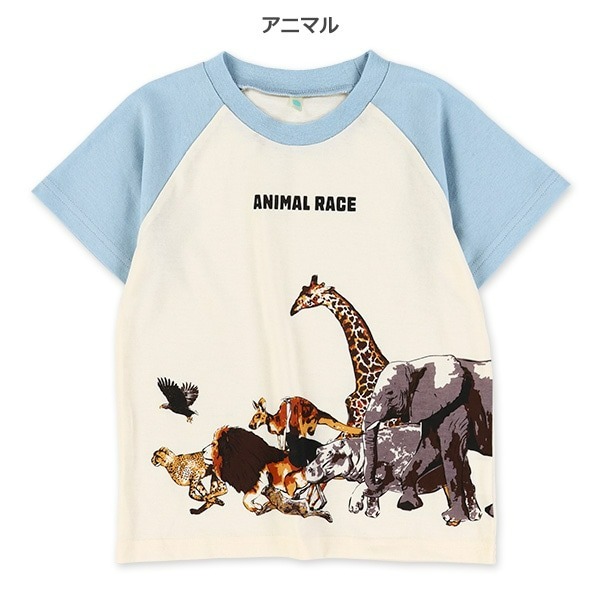 0330-日本恐龍・動物・車車大集合童趣短袖T恤 100-130cm-規格圖5