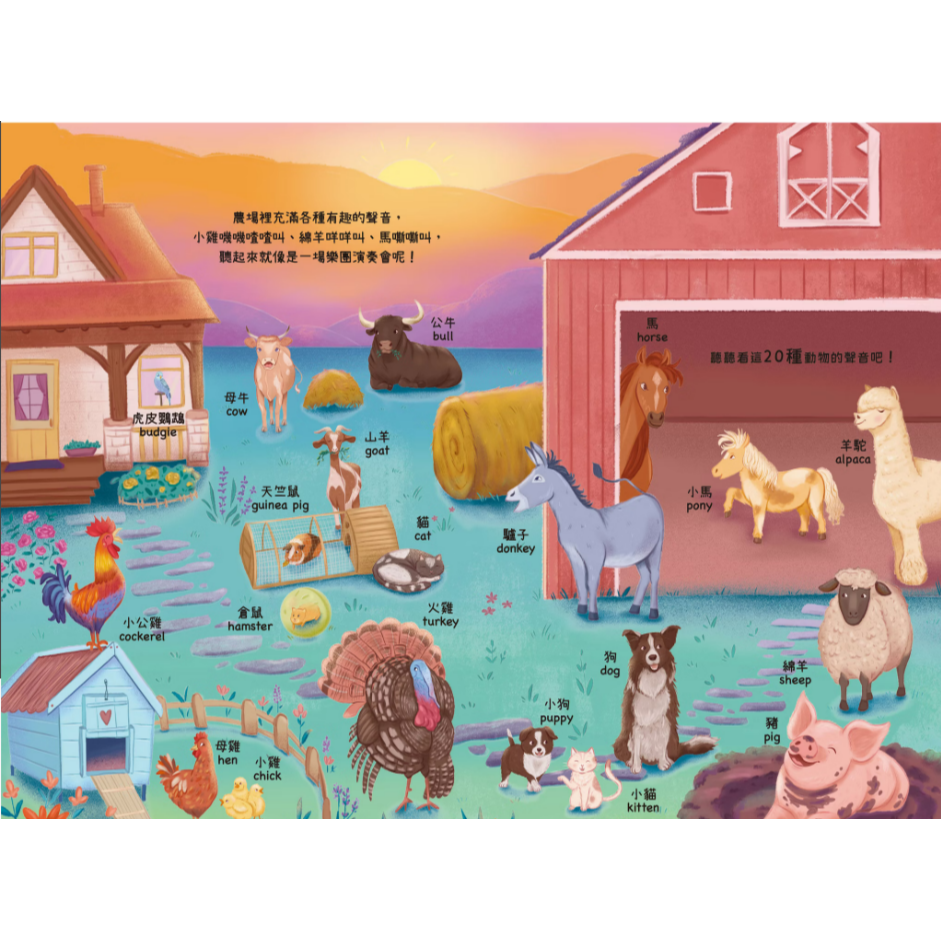 📖禾流文創🔸聽見100種聲音-細節圖2