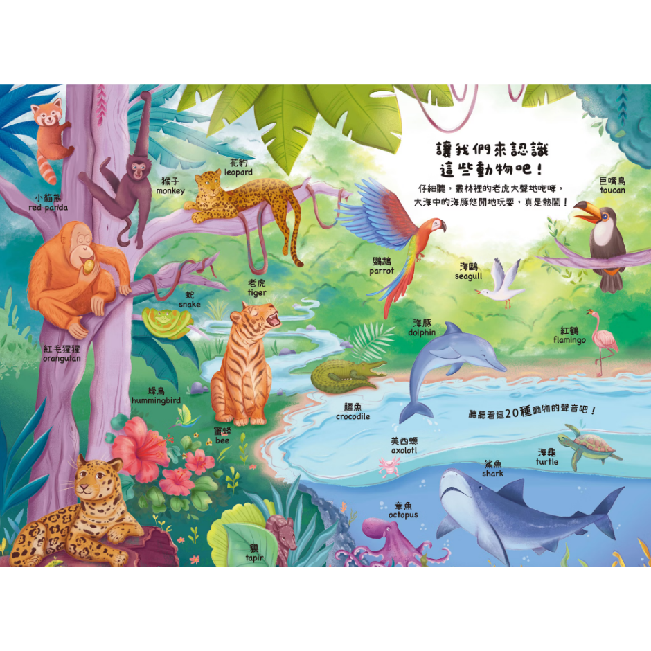 📖禾流文創🔸聽見100種聲音-細節圖3