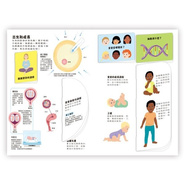 📖禾流文創🔸小小知識家動手大發現系列-細節圖10