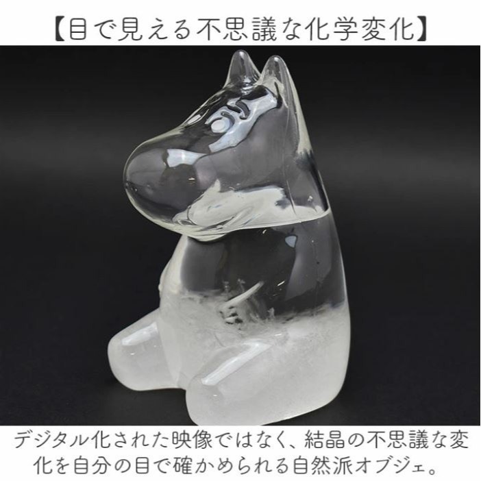 嚕嚕米/樹精 透明天氣瓶-細節圖2