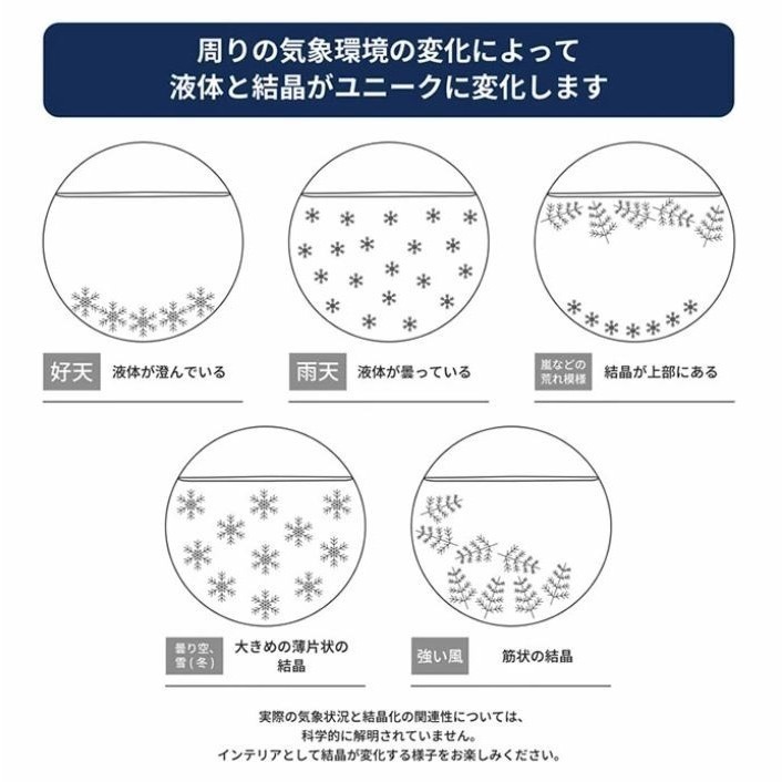 嚕嚕米/樹精 透明天氣瓶-細節圖7