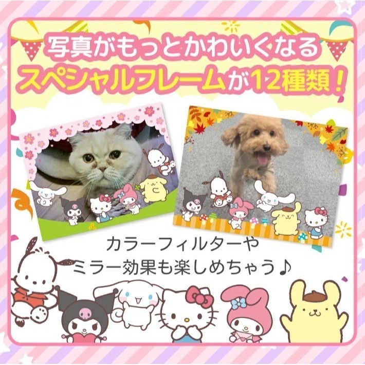 Pinto Kids 三麗鷗兒童相機-細節圖3