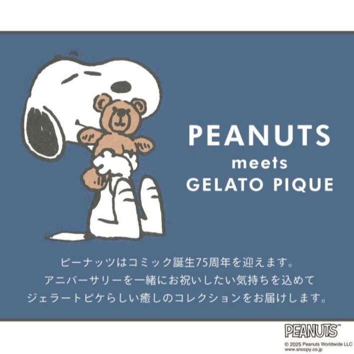 gelato pique 史努比X熊熊 玩偶、面紙抱枕袋、貴賓狗枕頭靠墊-細節圖6
