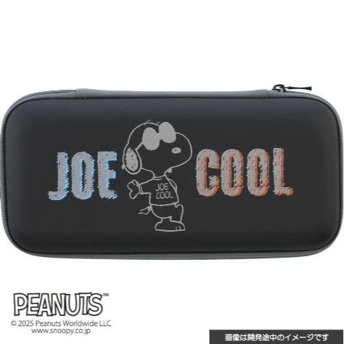 B(適用於Switch 2，11月下旬開始販售)