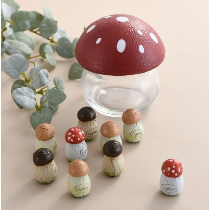 Caffarel義大利頂級蘑菇巧克力(2款)-規格圖11