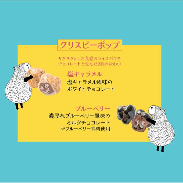 法國什錦巧克力豆禮盒(多款)-細節圖5