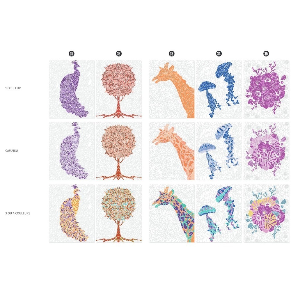 大人的神秘著色書(多款)-細節圖6