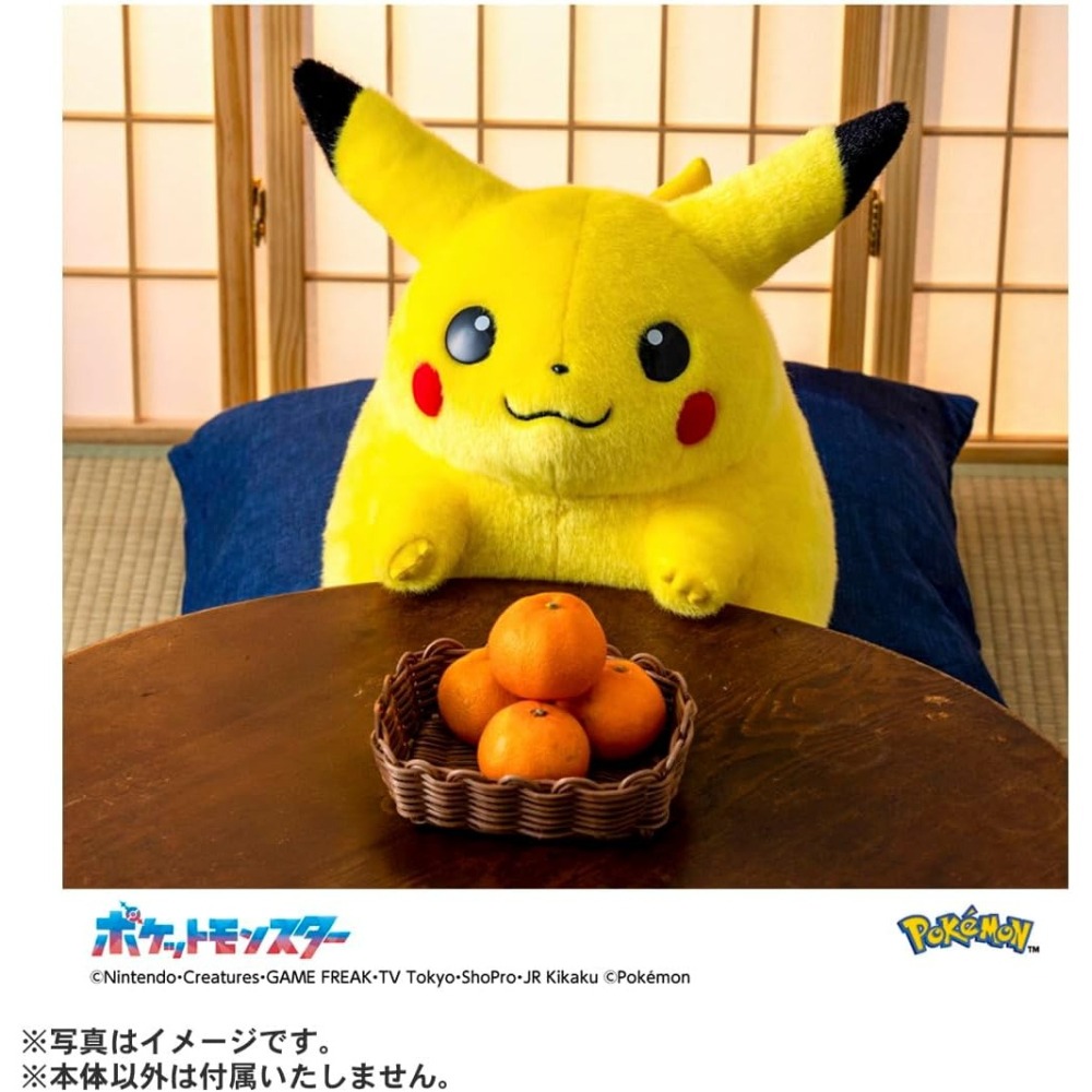 寶可夢30週年紀念版 歡迎回來！皮卡丘  1/1玩偶-細節圖8