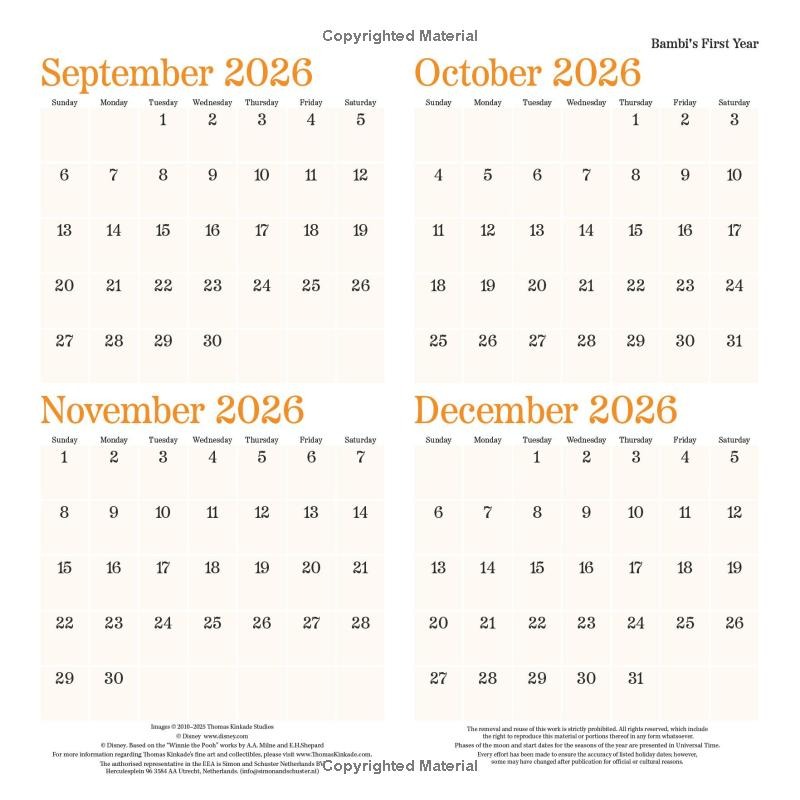 迪士尼夢想系列2027年掛曆-細節圖3