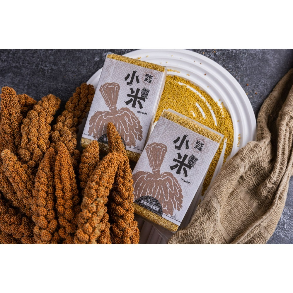 初來部落-小米-細節圖2