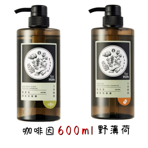 600ml tsaio 上山採藥洗髮精洗髮露 野薄荷 咖啡因 詩芙儂