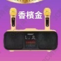 最新升級 送USB氣氛燈SD318 ktv雙人sdrd貓頭鷹 重低音無線麥克風 露營 會議主持藍芽音響-規格圖9